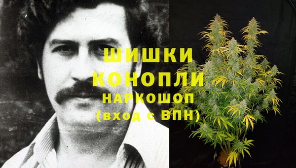 спайс Богородицк