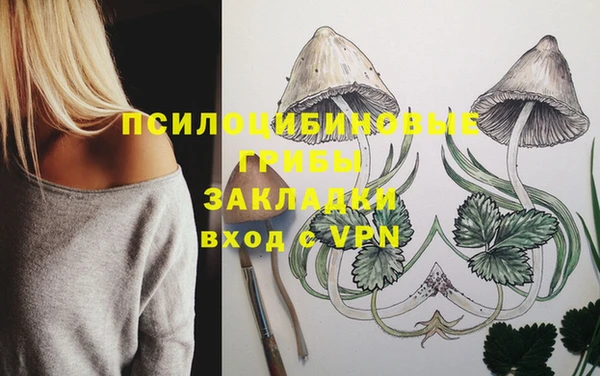 не бодяженный Богородск
