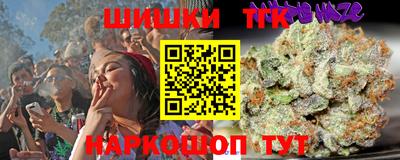 ГАЛЛЮЦИНОГЕННЫЕ ГРИБЫ Кингисепп