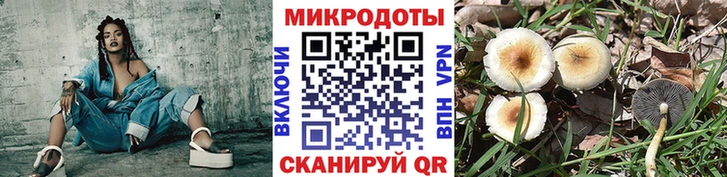 Галлюциногенные грибы MAGIC MUSHROOMS Острогожск