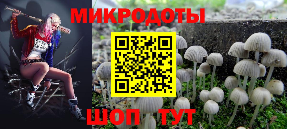 Галлюциногенные грибы Psilocybe Острогожск